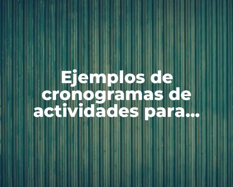 Ejemplos de cronogramas de actividades para proyectos y Significado