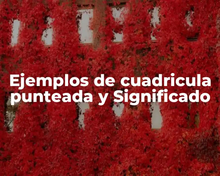 Ejemplos de cuadricula punteada y Significado