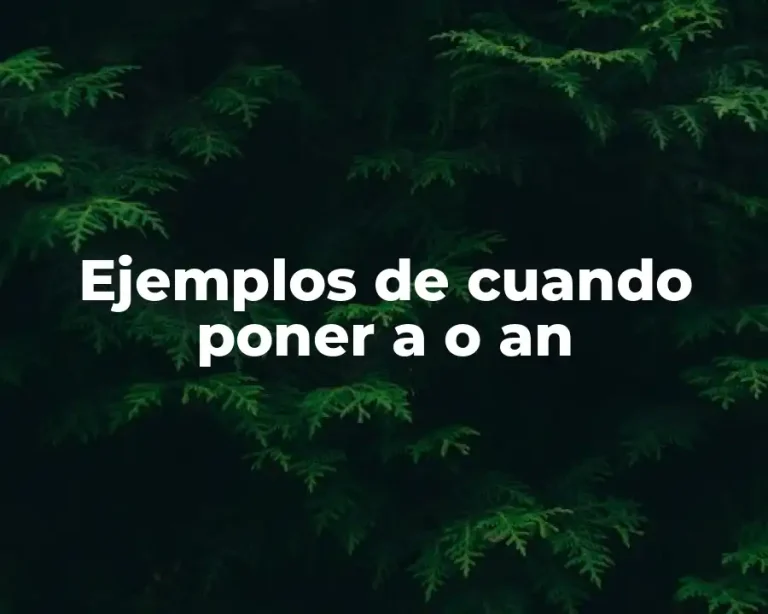Ejemplos de cuando poner a o an