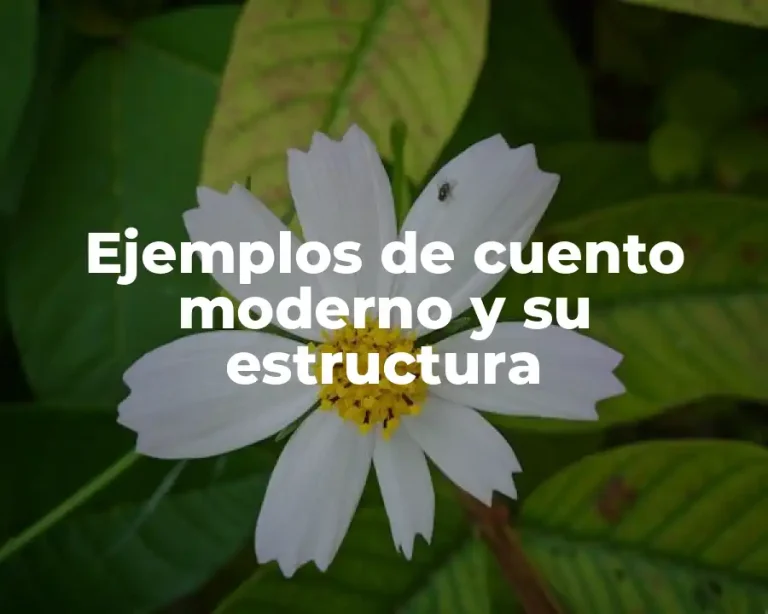 Ejemplos de cuento moderno y su estructura