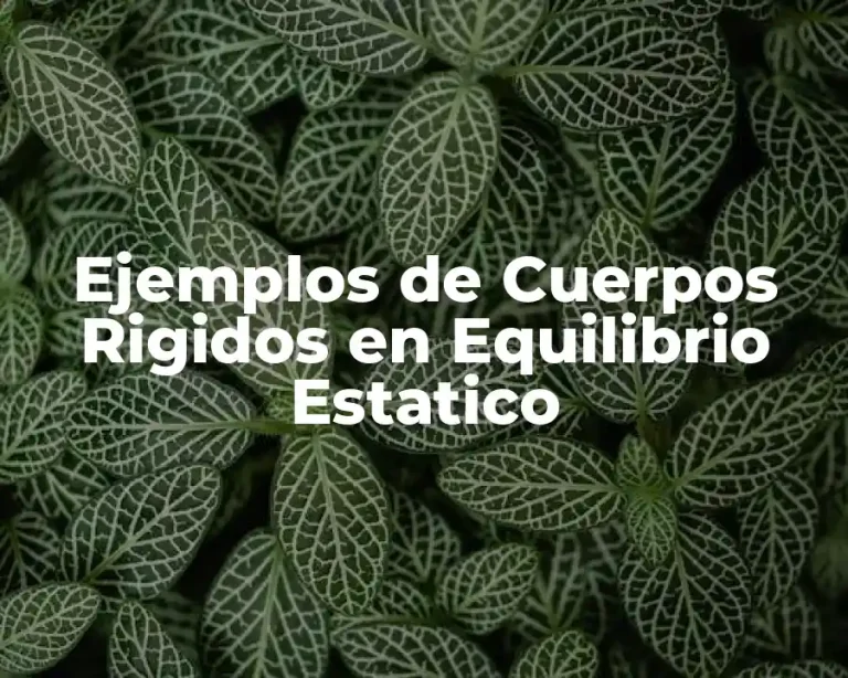 Ejemplos de Cuerpos Rigidos en Equilibrio Estatico