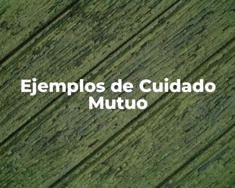 Ejemplos de Cuidado Mutuo