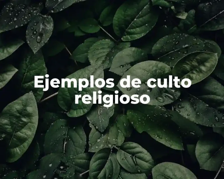 Ejemplos de culto religioso