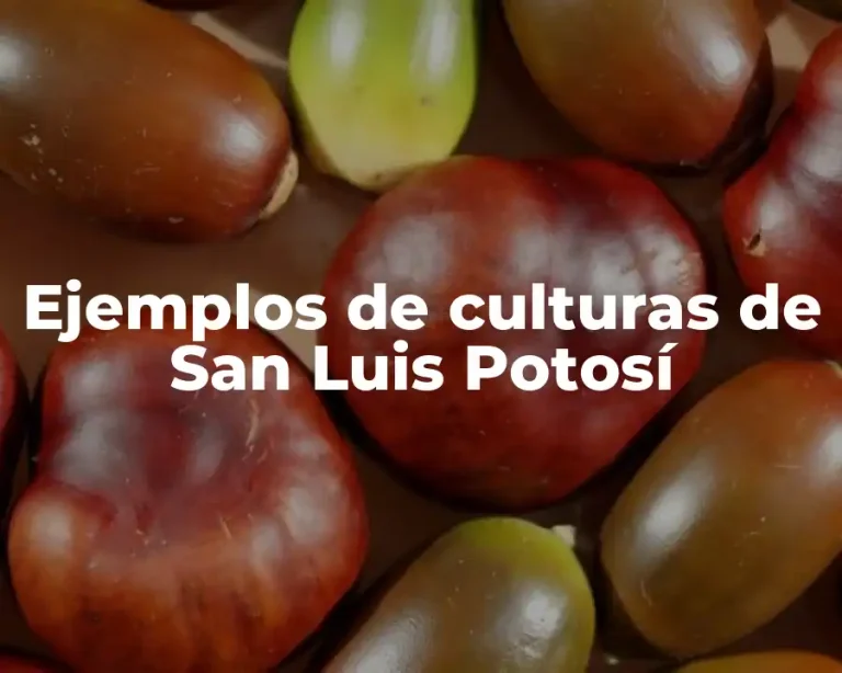 Ejemplos de culturas de San Luis Potosí