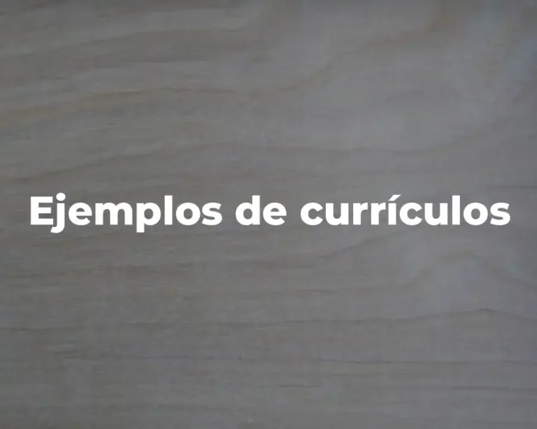 Ejemplos de currículos