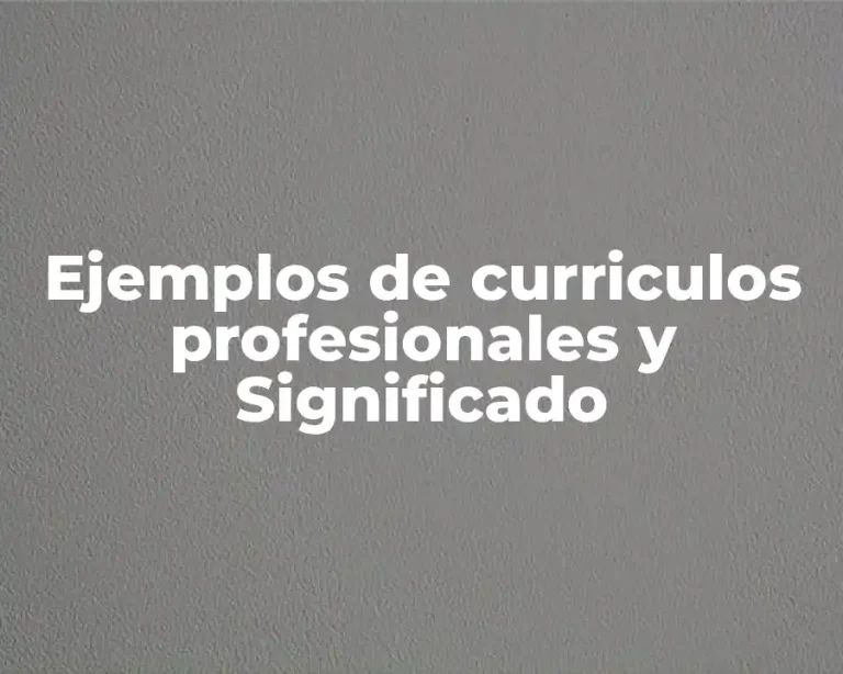 Ejemplos de curriculos profesionales y Significado