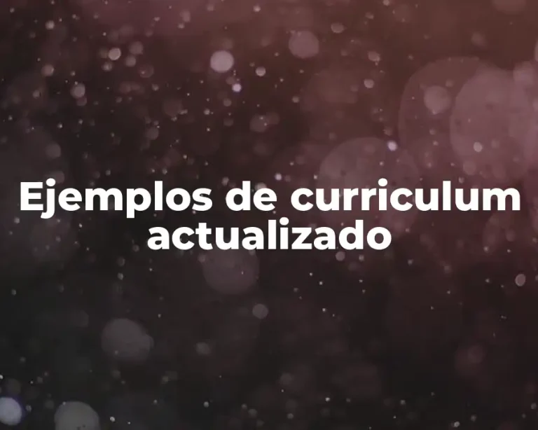 Ejemplos de curriculum actualizado