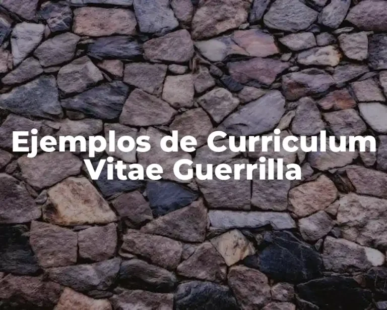Ejemplos de Curriculum Vitae Guerrilla