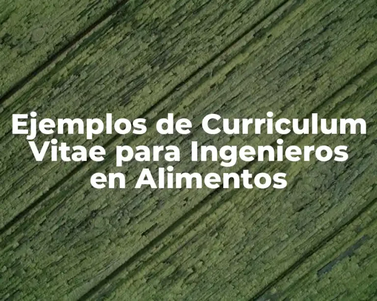 Ejemplos de Curriculum Vitae para Ingenieros en Alimentos