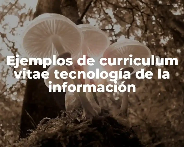 Ejemplos de curriculum vitae tecnología de la información
