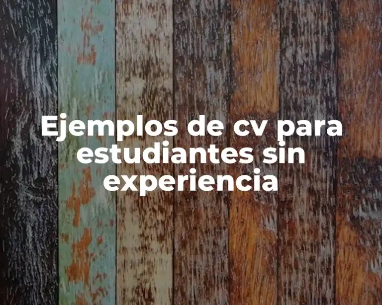 Ejemplos de cv para estudiantes sin experiencia