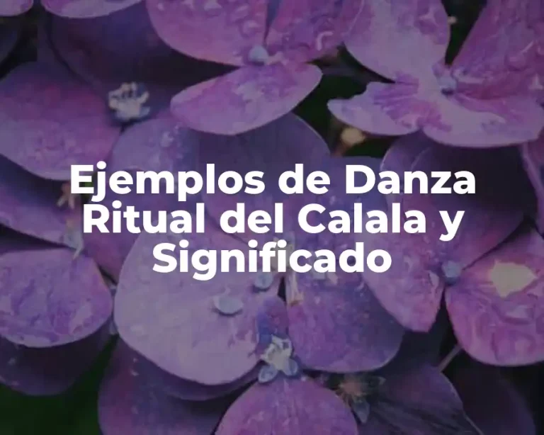Ejemplos de Danza Ritual del Calala y Significado