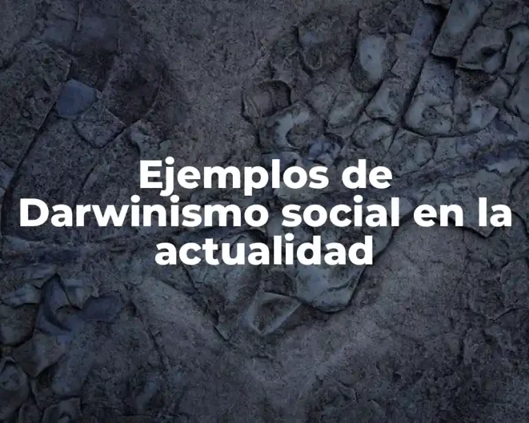 Ejemplos de Darwinismo social en la actualidad