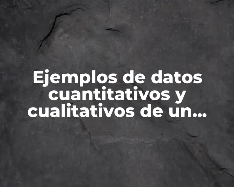 Ejemplos de datos cuantitativos y cualitativos de un proyecto social
