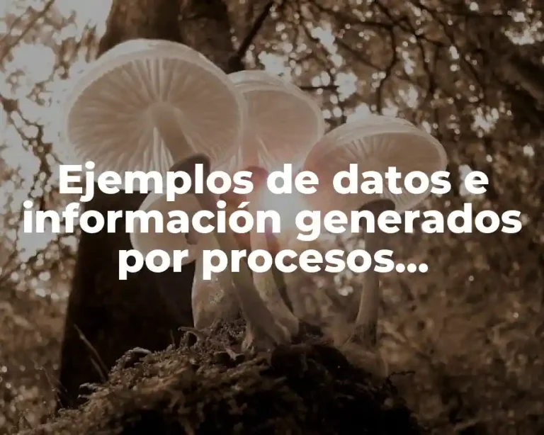 Ejemplos de datos e información generados por procesos empresariales