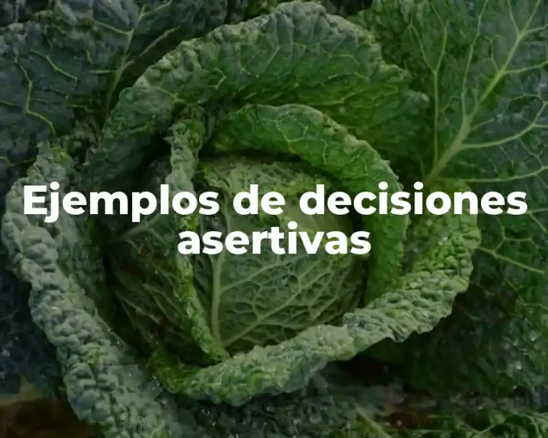 Ejemplos de decisiones asertivas
