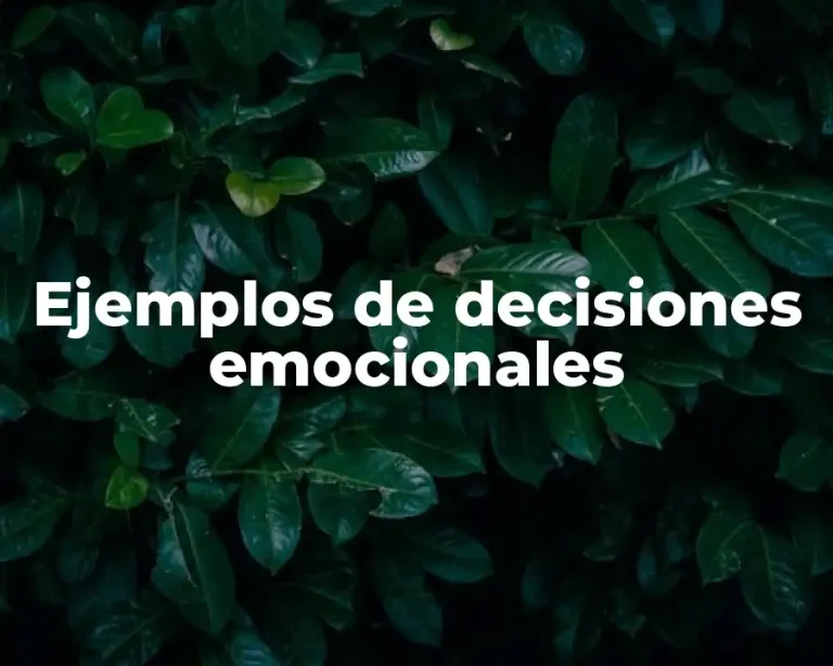 Ejemplos de decisiones emocionales