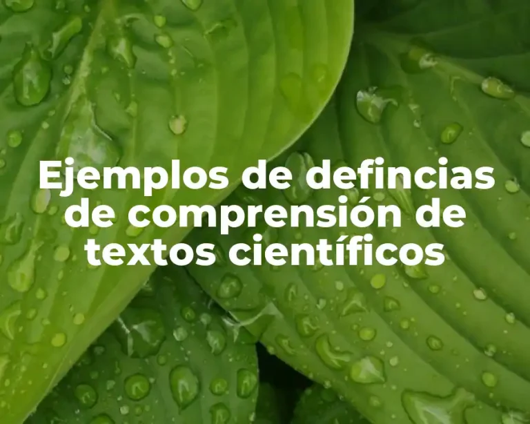 Ejemplos de defincias de comprensión de textos científicos