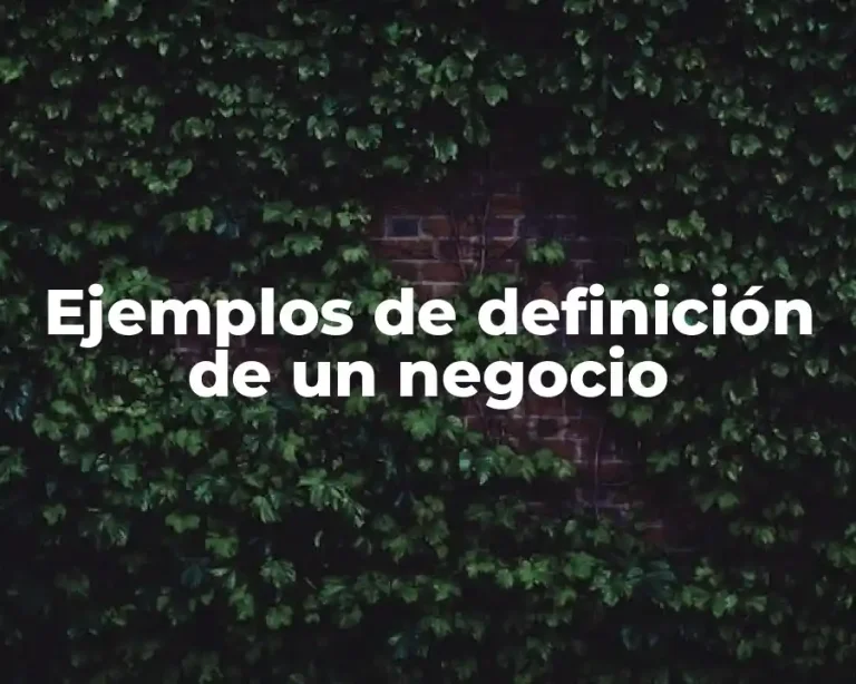 Ejemplos de definición de un negocio