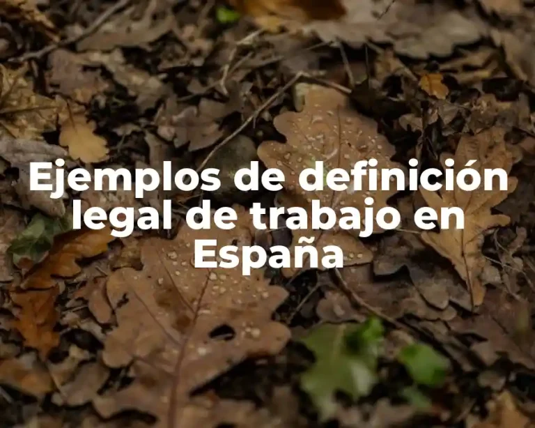 Ejemplos de definición legal de trabajo en España