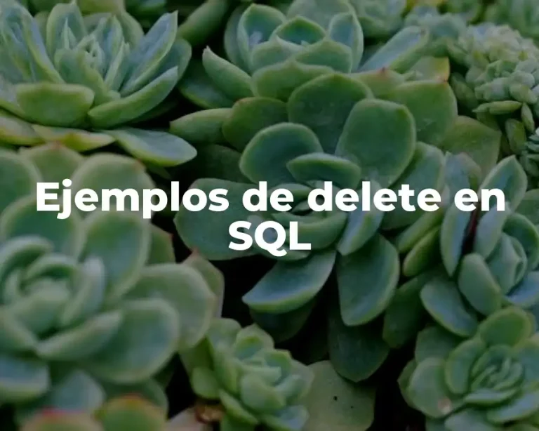 Ejemplos de delete en SQL
