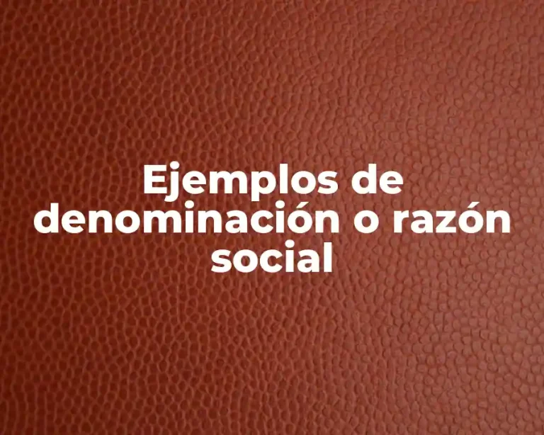 Ejemplos de denominación o razón social