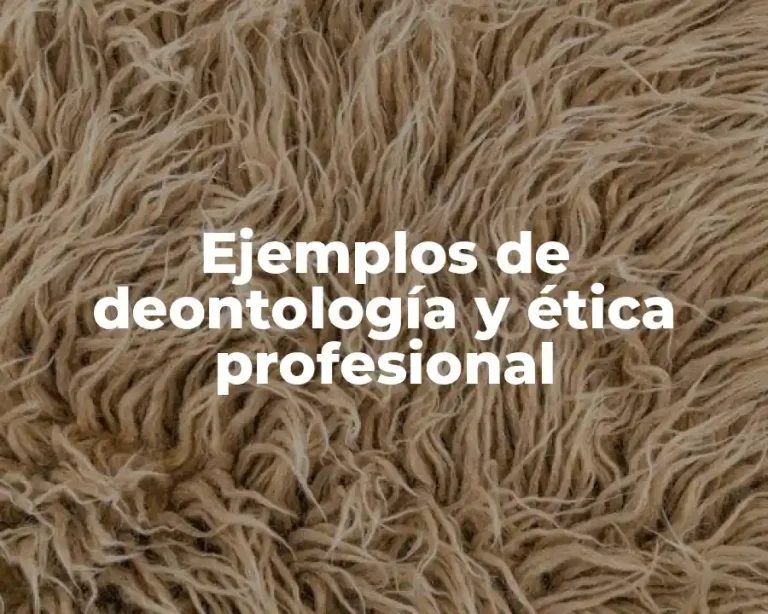 Ejemplos de deontología y ética profesional