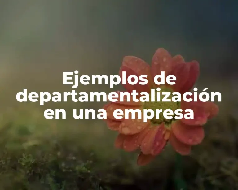 Ejemplos de departamentalización en una empresa