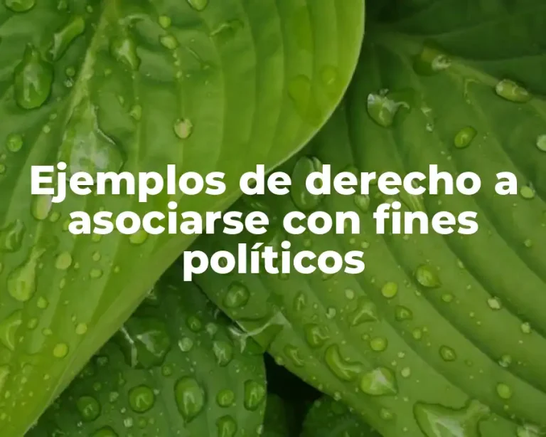 Ejemplos de derecho a asociarse con fines políticos
