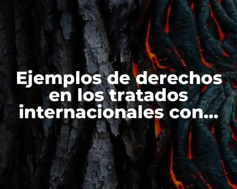 Ejemplos de derechos en los tratados internacionales con limites