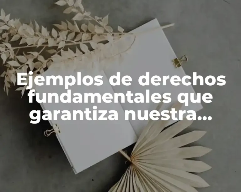 Ejemplos de derechos fundamentales que garantiza nuestra constitución