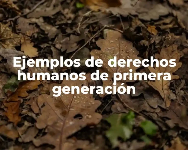 Ejemplos de derechos humanos de primera generación