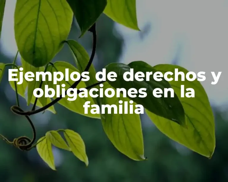 Ejemplos de derechos y obligaciones en la familia