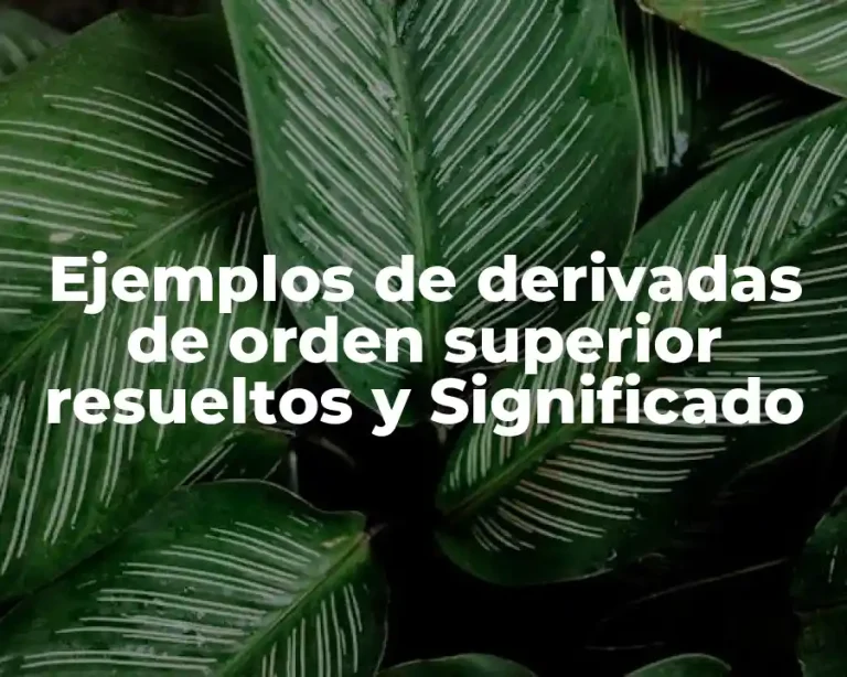Ejemplos de derivadas de orden superior resueltos y Significado