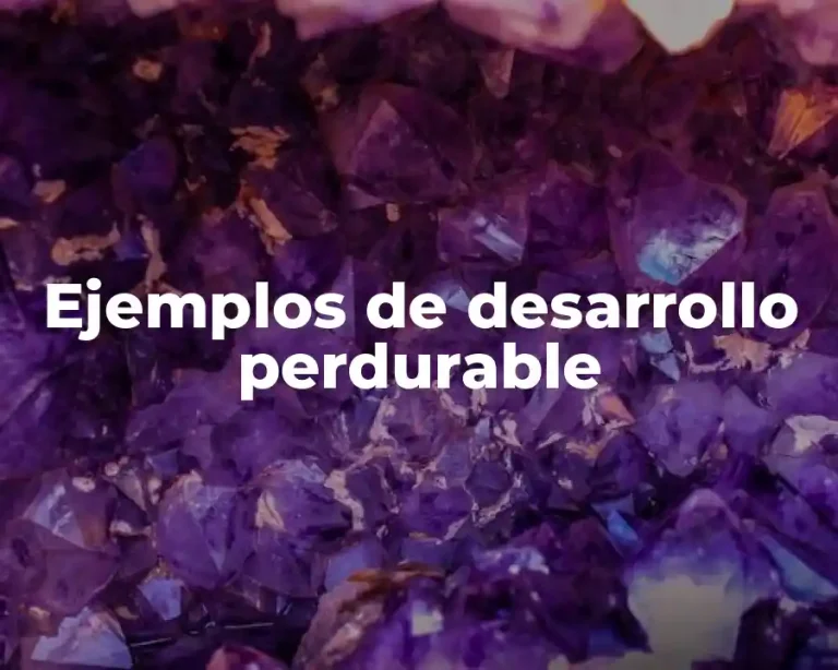 Ejemplos de desarrollo perdurable