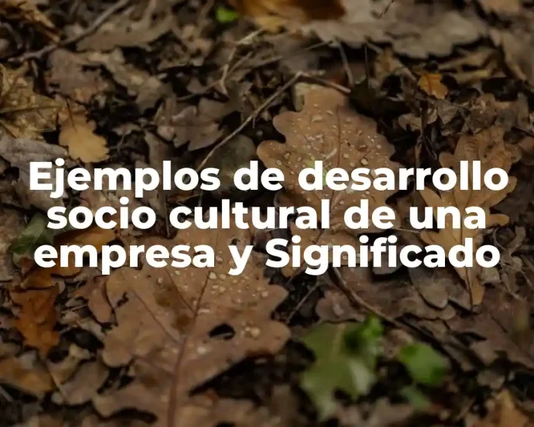 Ejemplos de desarrollo socio cultural de una empresa y Significado