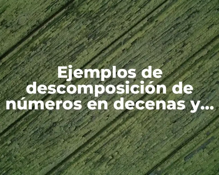 Ejemplos de descomposición de números en decenas y unidades y Significado
