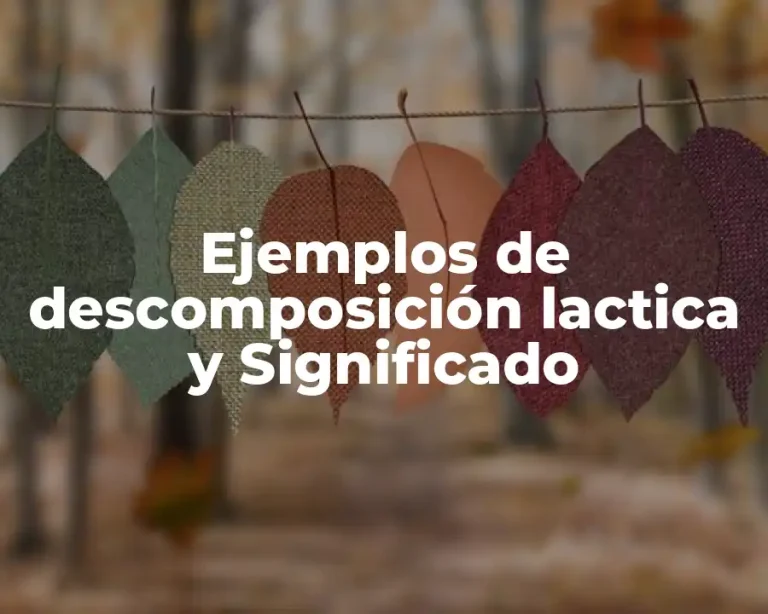 Ejemplos de descomposición lactica y Significado