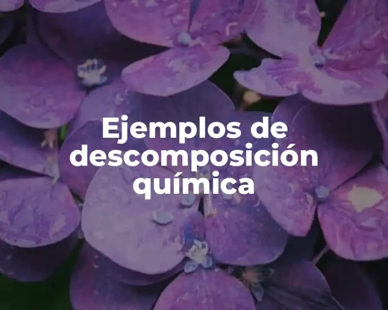 Ejemplos de descomposición química