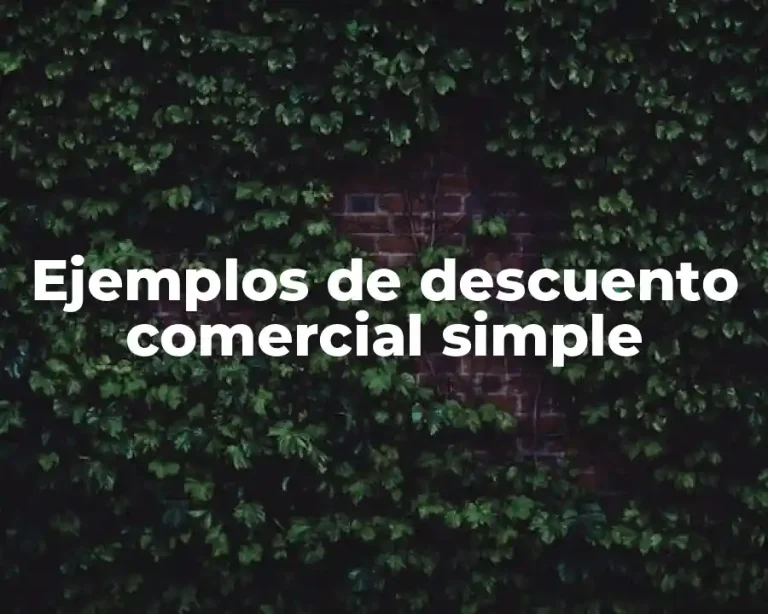 Ejemplos de descuento comercial simple