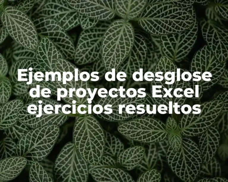 Ejemplos de desglose de proyectos Excel ejercicios resueltos