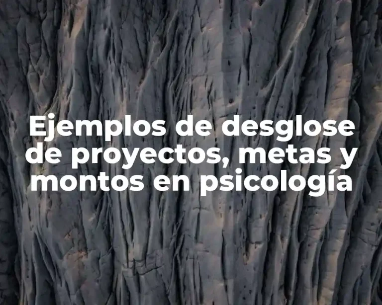 Ejemplos de desglose de proyectos, metas y montos en psicología