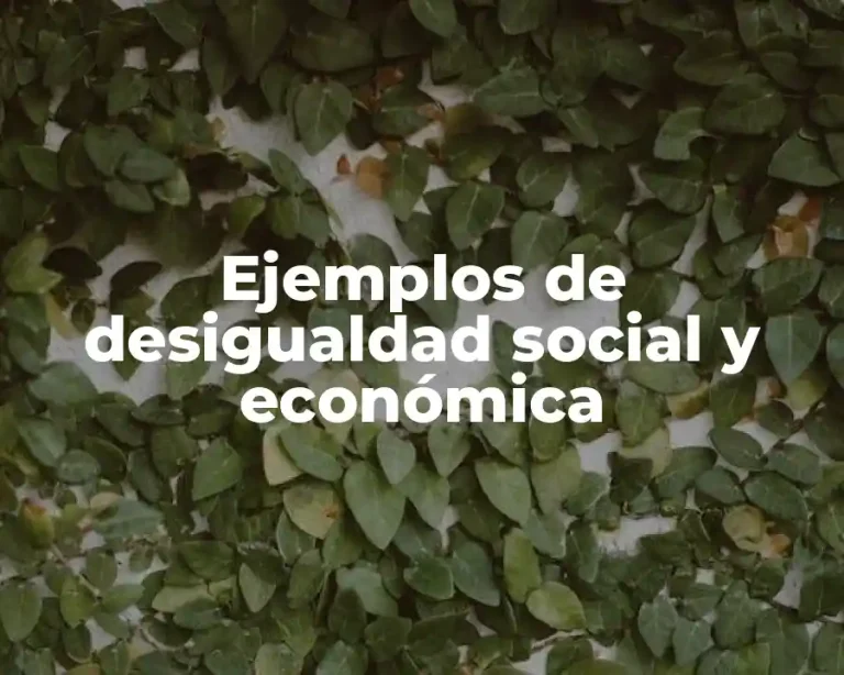 Ejemplos de desigualdad social y económica