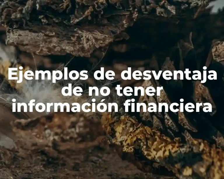 Ejemplos de desventaja de no tener información financiera