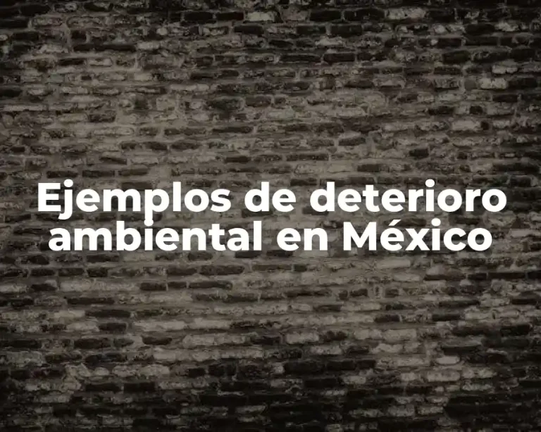 Ejemplos de deterioro ambiental en México