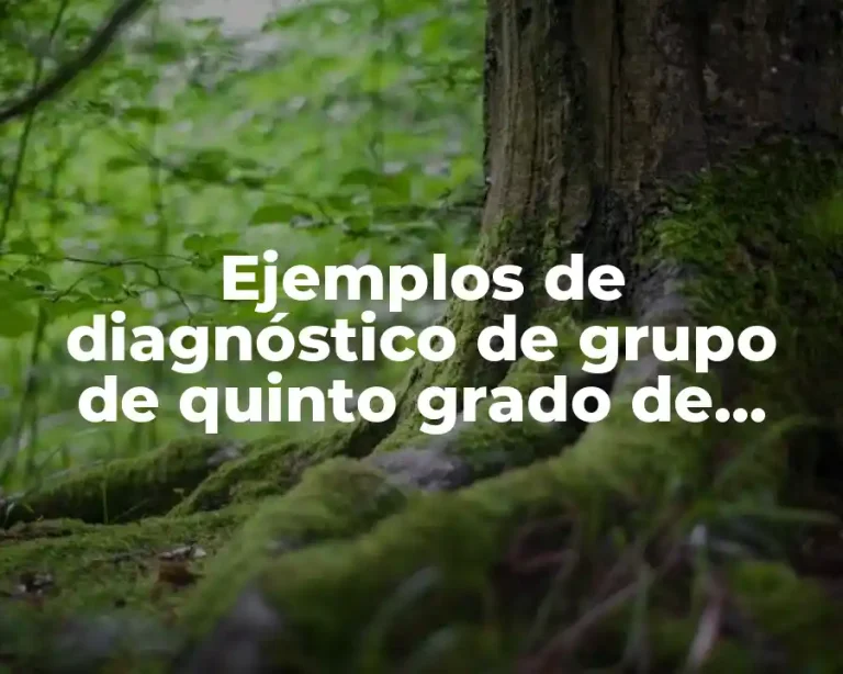 Ejemplos de diagnóstico de grupo de quinto grado de primaria