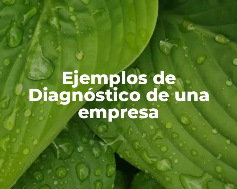Ejemplos de Diagnóstico de una empresa