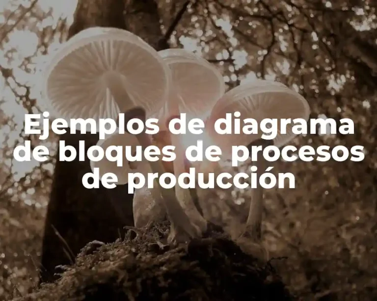 Ejemplos de diagrama de bloques de procesos de producción