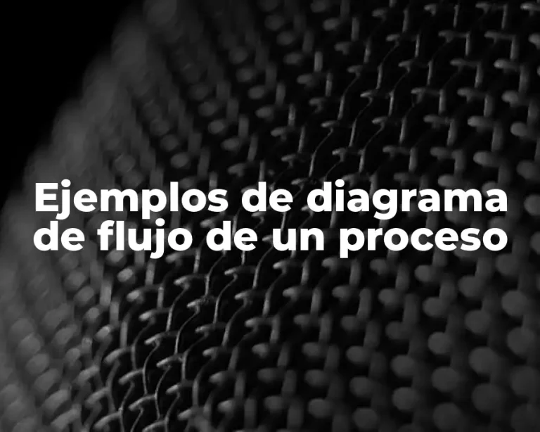 Ejemplos de diagrama de flujo de un proceso