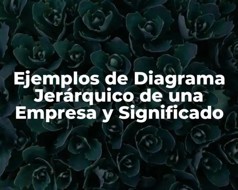 Ejemplos de Diagrama Jerárquico de una Empresa y Significado